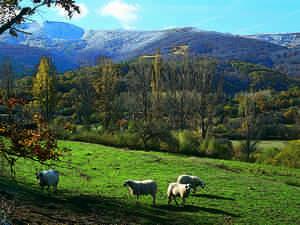 Sierra de la Demanda